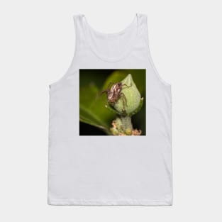 Perched Tank Top